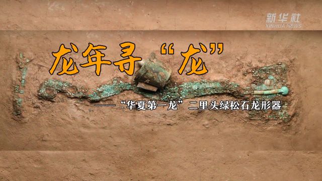 龙年寻“龙”——“华夏第一龙”二里头绿松石龙形器