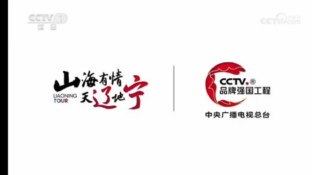 (放送文化) 2024.2.24 CCTV1 新闻联播 开始前广告