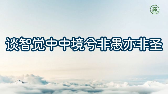 《山林子谈自然道德中中禅系列组诗》105【谈智觉中中境兮非愚亦非圣】鹤清工作室