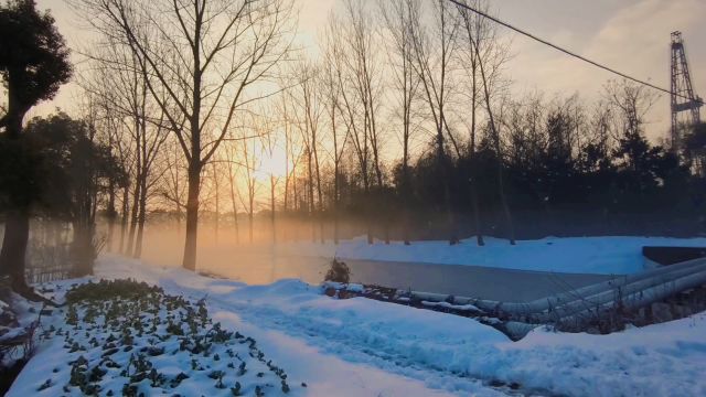 雪后初霁,迎接明媚清晨的宁静美景