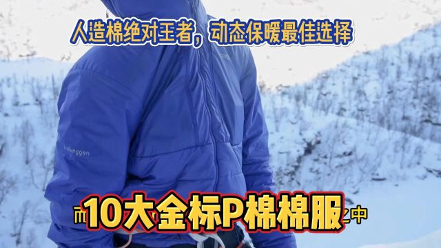 人造棉绝对王者,动态保暖最佳选择,10大金标P棉棉服