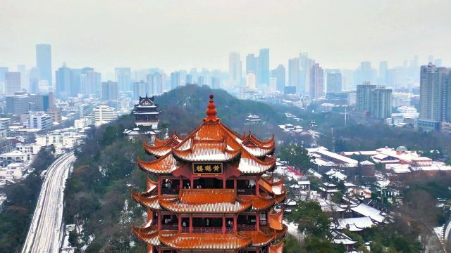 龙年新春霰雪一派北国风光景色