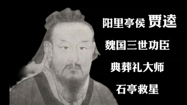 贾逵:魏国三世功臣,典葬礼大师,石亭救星