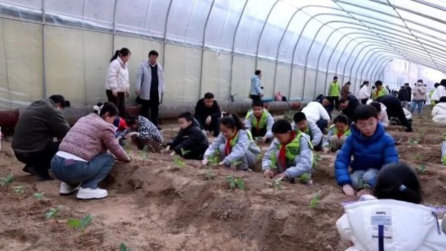 开学第一课丨茌平:让学生走进田间 劳动育人接地气