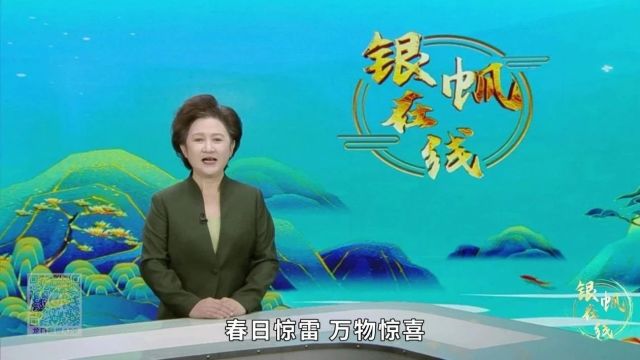 《银帆在线》2024年第三期《惊蛰》篇