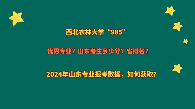 西北农林科技大学“985”,山东考生多少分?2024山东报考数据