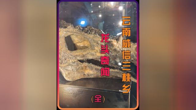 谁能拒绝蹲坑时看一集云南威信三桃乡母猪龙奇闻