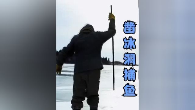 零度以下的生活:每天生活在冰天雪地,并且在冰湖下方凿洞捕鱼!