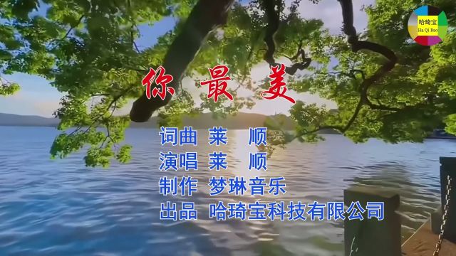 你最美 词曲 莱顺 演唱 莱顺 制作 梦琳音乐 出品 哈琦宝科技有限公司