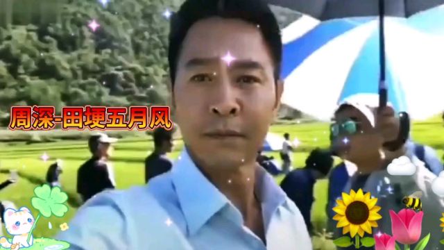 周深演唱《田埂五月风》,空灵唯美的歌声像五月的风一样令人陶醉