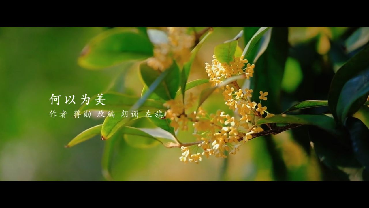 电视散文:何以为美(吴世康纪录片工作室)