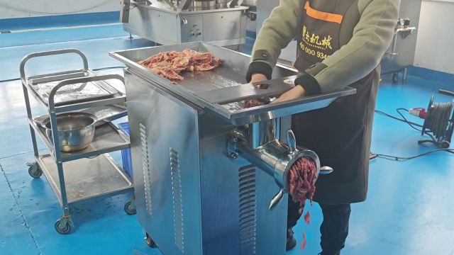 鸡架骨绞碎机大型立式不锈钢绞肉机多功能鲜肉半冻肉绞肉沫机