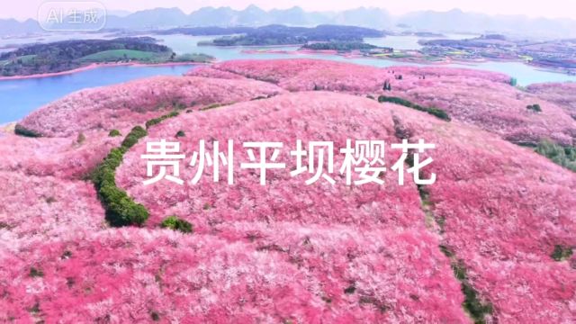 贵州平坝樱花最佳观赏时间是:3月中旬至4月上旬