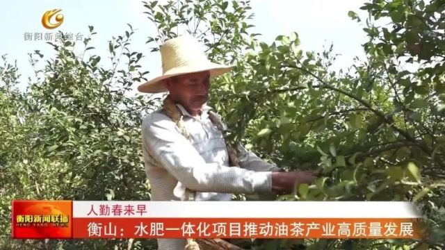 人勤春来早 衡山:水肥一体化项目推动油茶产业高质量发展