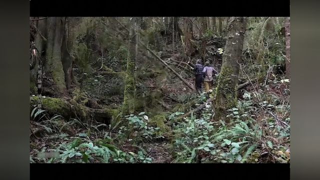 荒野第四季1~3,14人荒岛求生,夫妻组合开启度假之旅