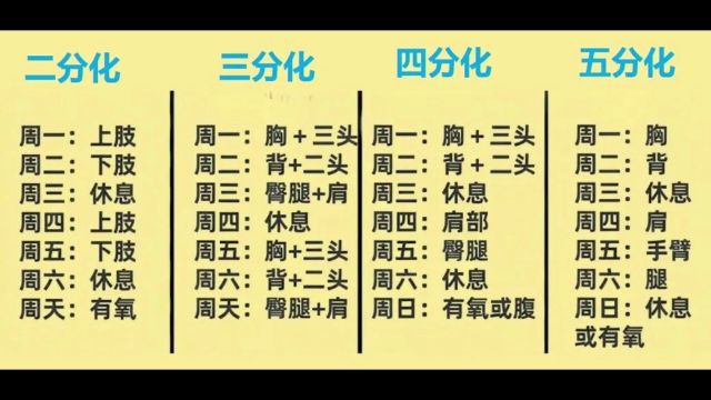 你是几分化训练?送你二三四五分化训练安排