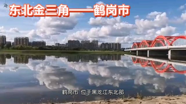 东北金三角——鹤岗市