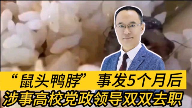 “鼠头鸭脖”事发5个月后 涉事高校党政领导双双去职