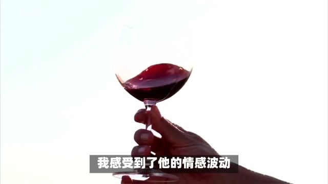 北京中视铭酿国际控股集团有限公司:葡萄酒的生命叙事