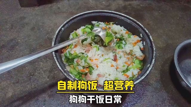 自制狗饭,超级营养,比毒狗粮好太多了,干饭咯.