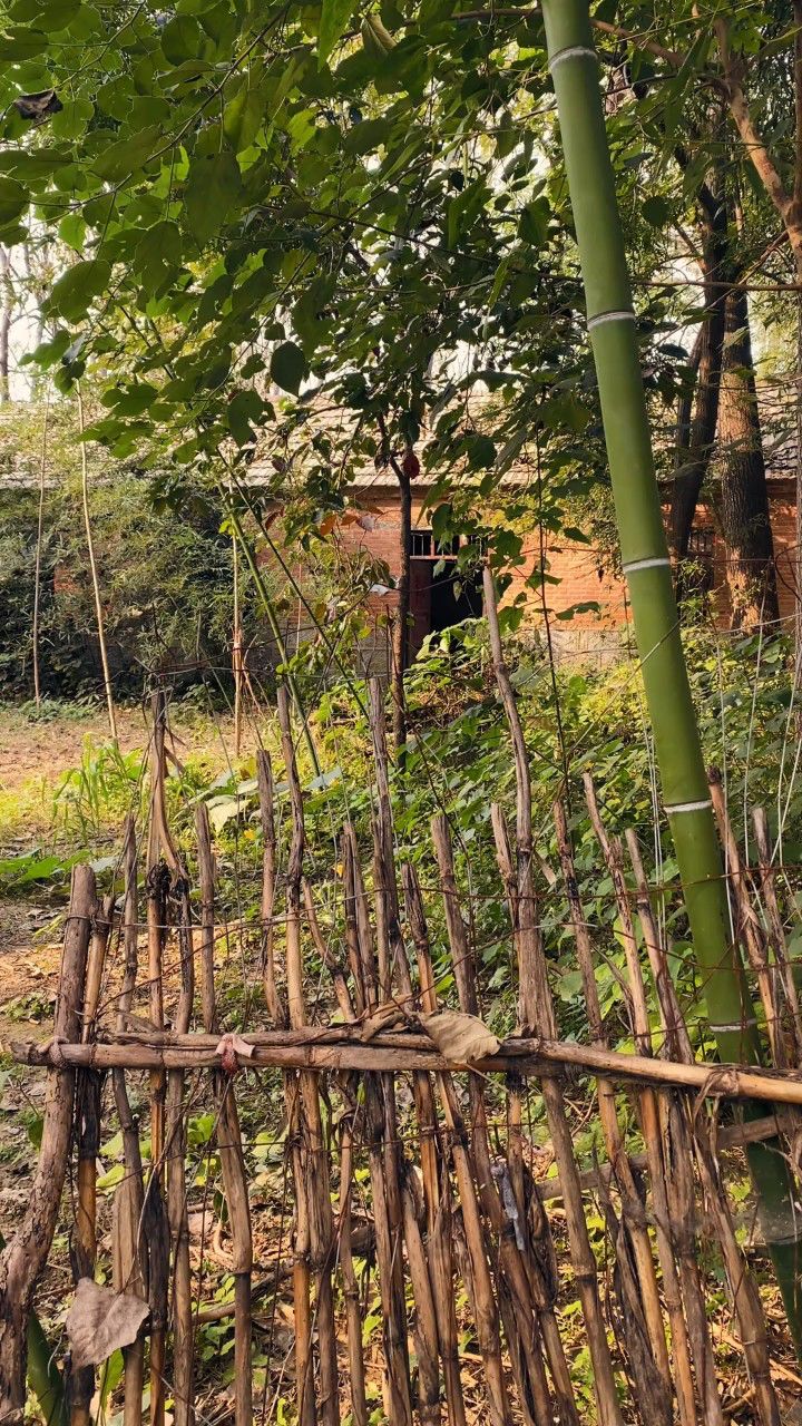 陈太丘与友期行