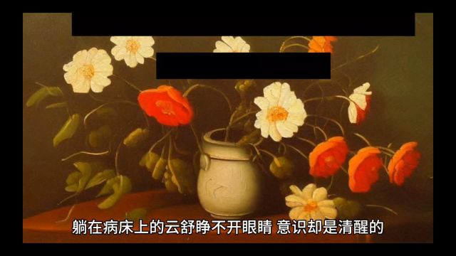 《脱离户口本后,真千金飒爆全球》云舒傅璟川小说完整版阅读