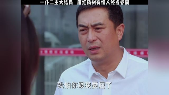 一仆二主大结局,唐红杨树有情人终成眷属