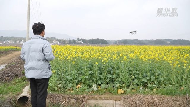 湖北黄石:灾后复产 奏响科技春耕备耕“进行曲”