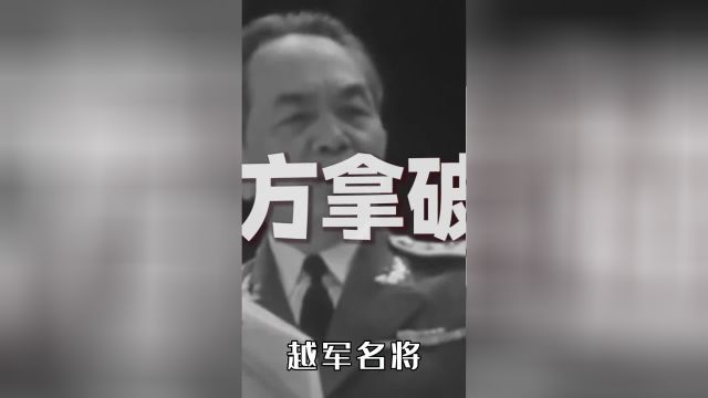 谅山战役开打前,武元甲听说中国派的是许世友,为何狂笑不止?