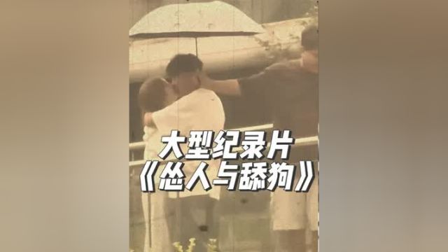 大型纪录片《怂人与舔狗》震撼播出!恋爱 舔狗 表白 纪录片