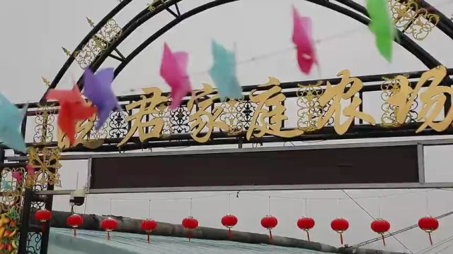 济宁市嘉祥县:新农人种出甜蜜“柿”业