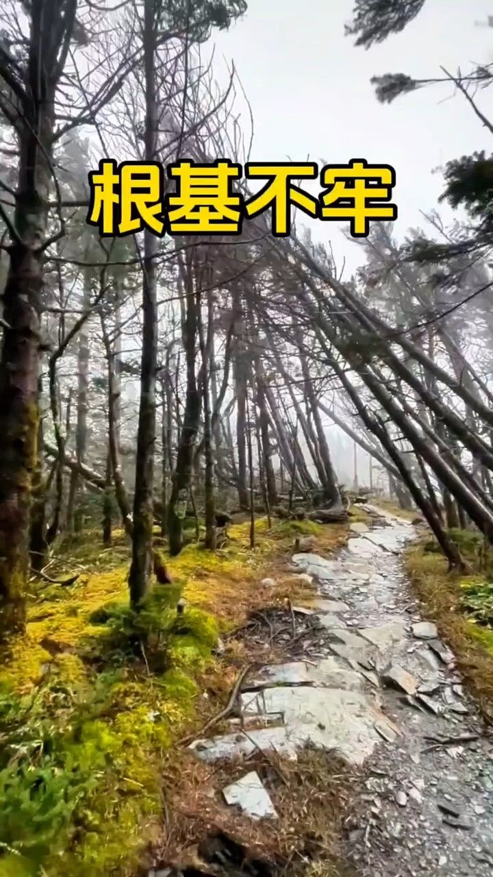 根基不牢,地动山摇