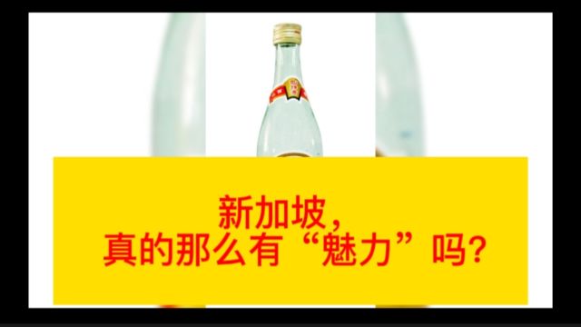 新加坡真的那么有“魅力”吗?(#世界经济#“香新”之争#商业思维)