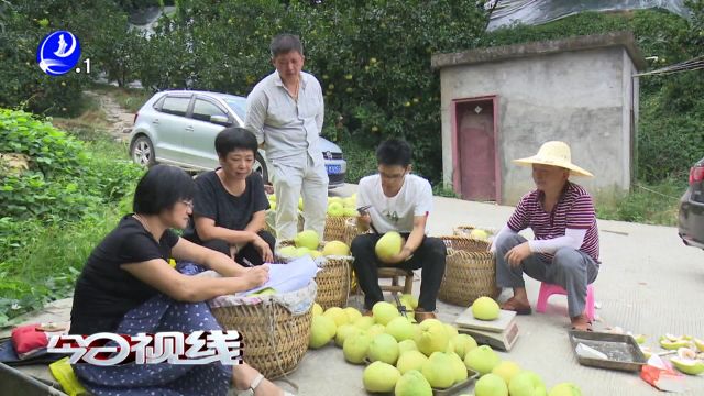 木兰溪(仙游段)流域生态保护与综合治理入选国家生态文明试验区补助项目