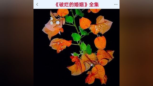 《破烂的婚姻》全集#番茄小说