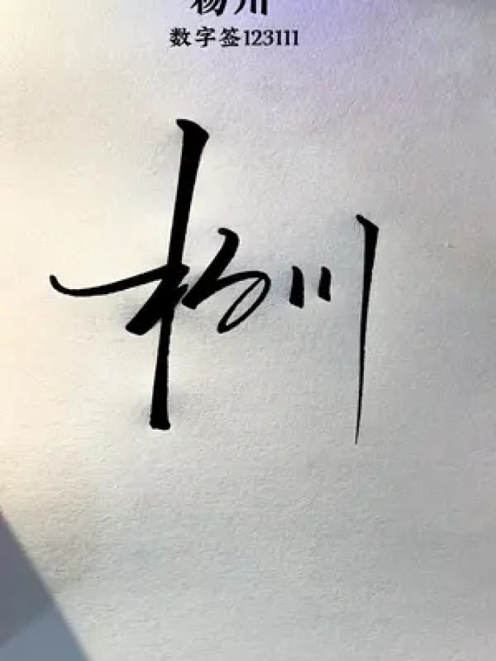 签名设计 #艺术签名 #商务签名 #数字签