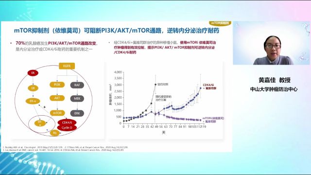 黄嘉佳教授:后CDK4/6抑制剂时代的精准治疗策略