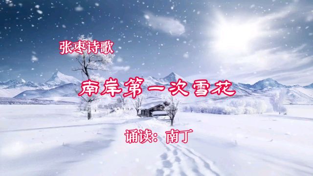 张枣诗歌《南岸第一次雪花》诵读:南丁