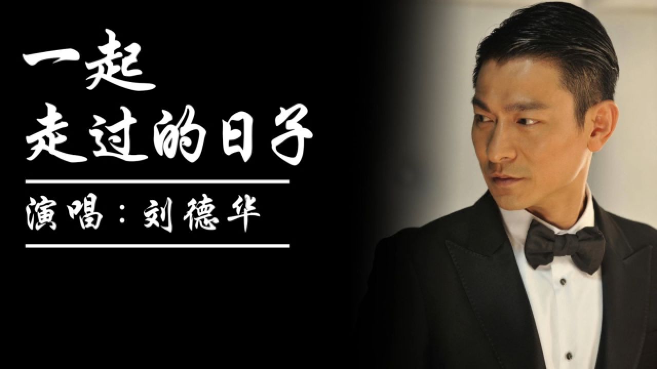 《一起走过的日子》刘德华-现在剩下我独行