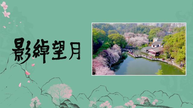 “新”花怒放①|就在本周末,小小望月公园要玩“大花样”