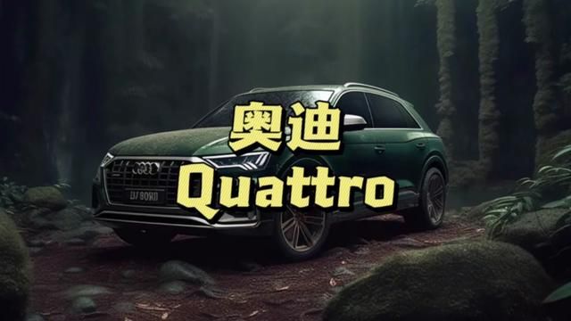 奥迪的封神名场面,看完你就知道quatrro有多强了#奥迪