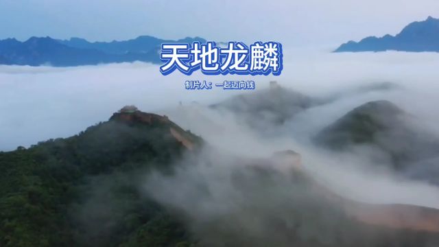 《天地龙麟》