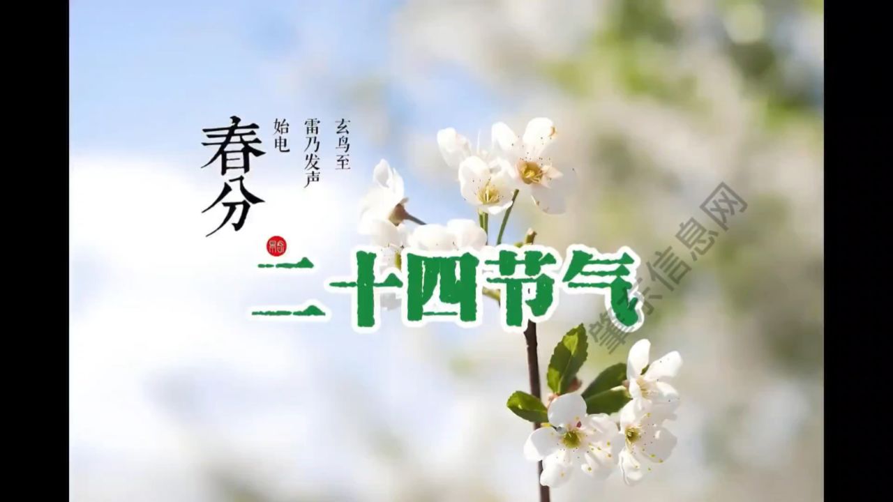 明天迎来春分节气!