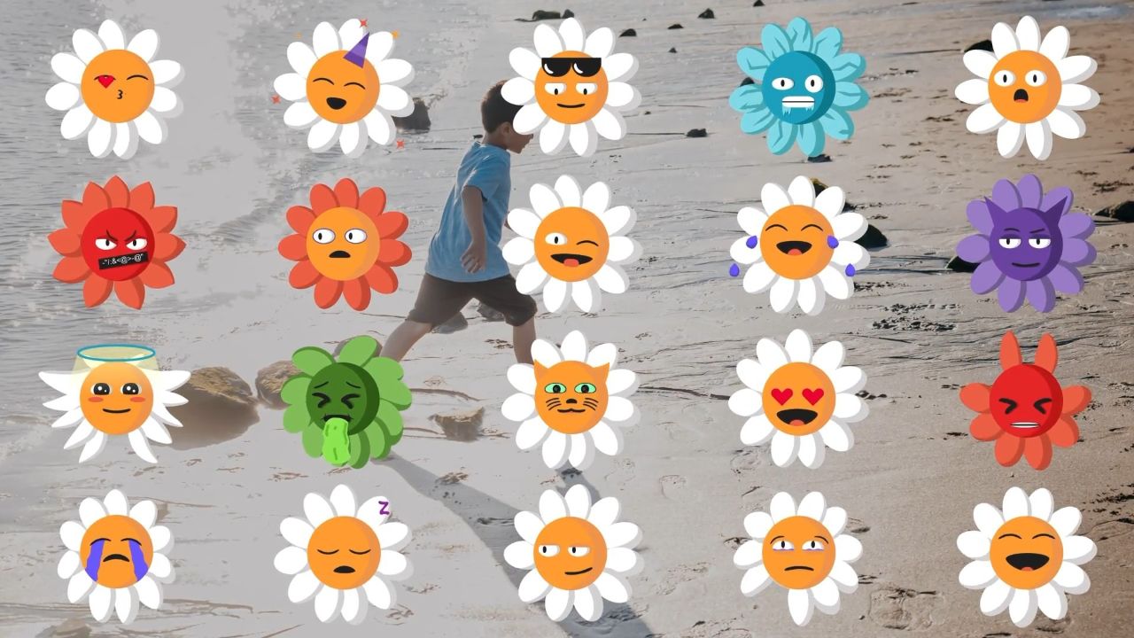 fcpx插件 20组有趣色彩缤纷太阳花表情动画 多种情绪风格 chamomile