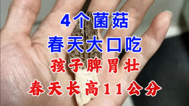 4个菌菇,春天大口吃,孩子脾胃壮,春天长高11公分