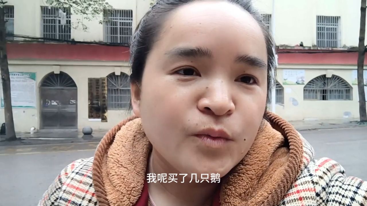苗大姐224元网购10只狮头鹅,饿了吃碗超辣冒菜,真的是火冒金星