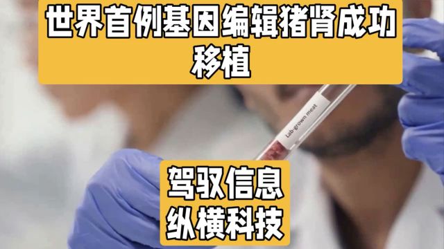 有总比没有强!医学界惊艳突破:首例基因编辑猪肾成功移植人类