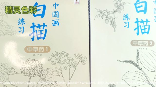 中国画中草药野菊花第1节白描彩铅绘画视频教学教程