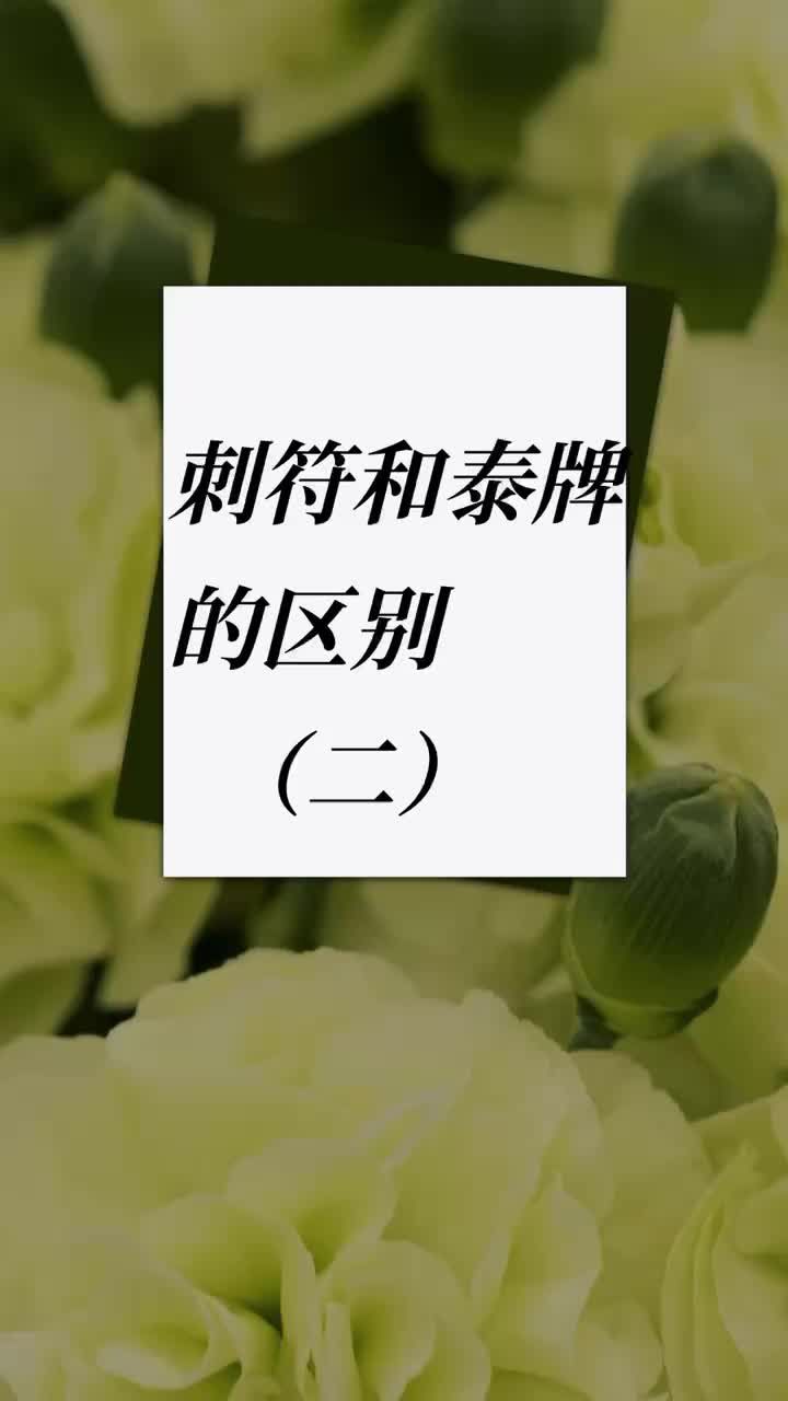 刺符和泰牌的区别?