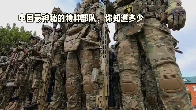 中国最神秘的特种部队,被世界军迷推上榜首,你知道多少